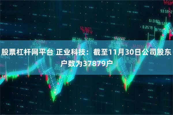 股票杠杆网平台 正业科技：截至11月30日公司股东户数为37879户