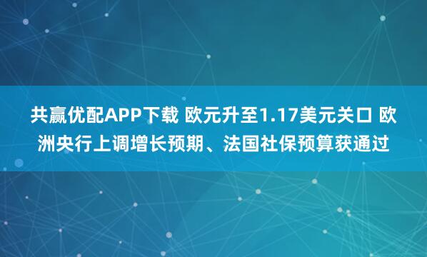 共赢优配APP下载 欧元升至1.17美元关口 欧洲央行上调增长预期、法国社保预算获通过