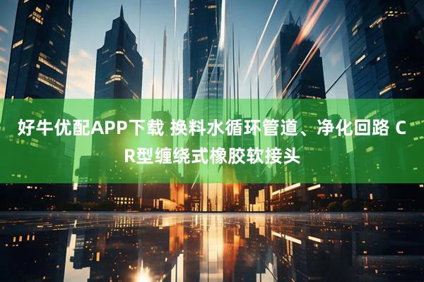 好牛优配APP下载 换料水循环管道、净化回路 CR型缠绕式橡胶软接头